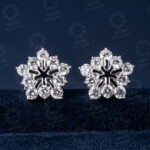 Bông Tai Kim Cương