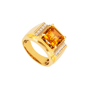 Các Mẫu Nhẫn Cho Nam Tuổi Tỵ Thêm Đẳng Cấp, Quyến Rũ