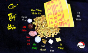 Cốt Thất Bảo Là Gì? Ý Nghĩa 7 Vật Phẩm Quý Hiếm Giúp Tăng cường Vượng Khí Trong Phong Thủy